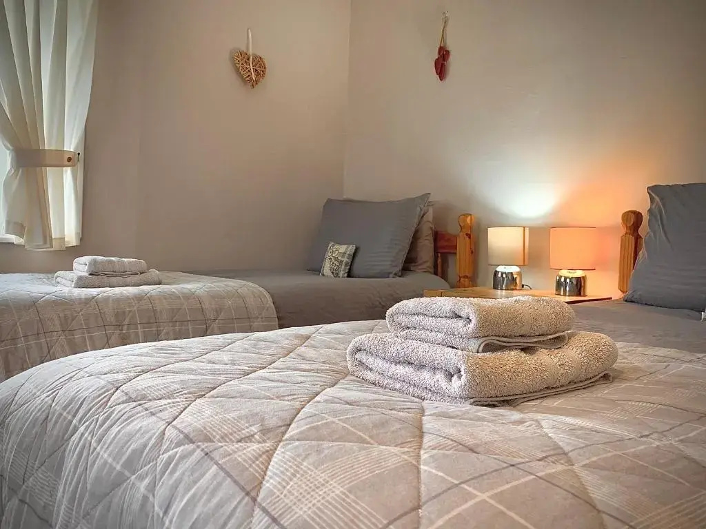 Deluxe Double room (twin beds)