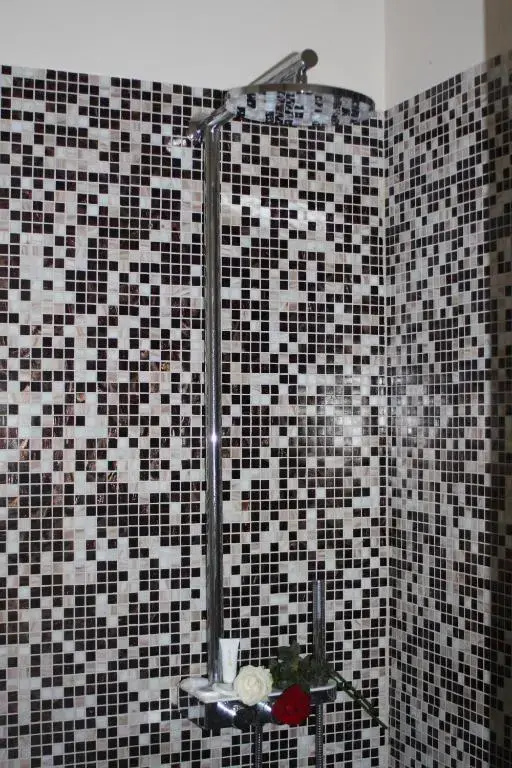 Pensiunea Clasic - Chambres