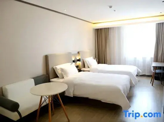 Business Double room (twin beds)