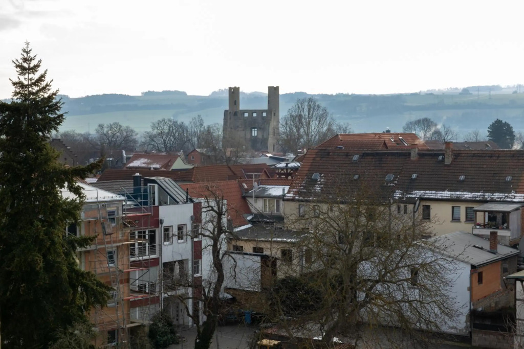 Image 11