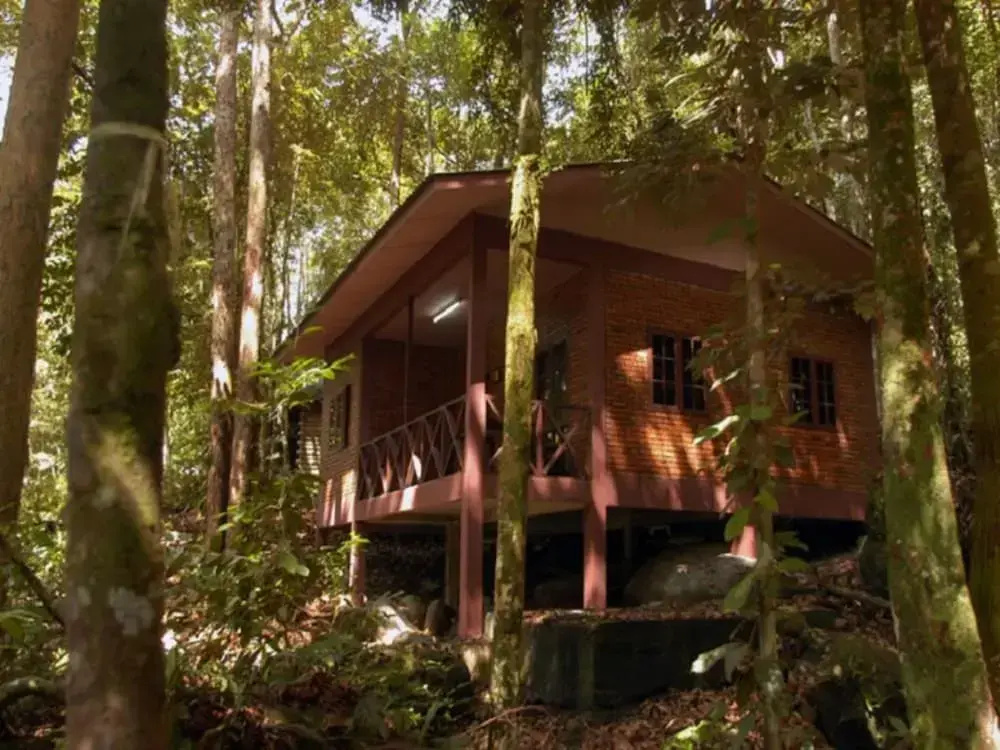Permai Rainforest Resort - Chambres