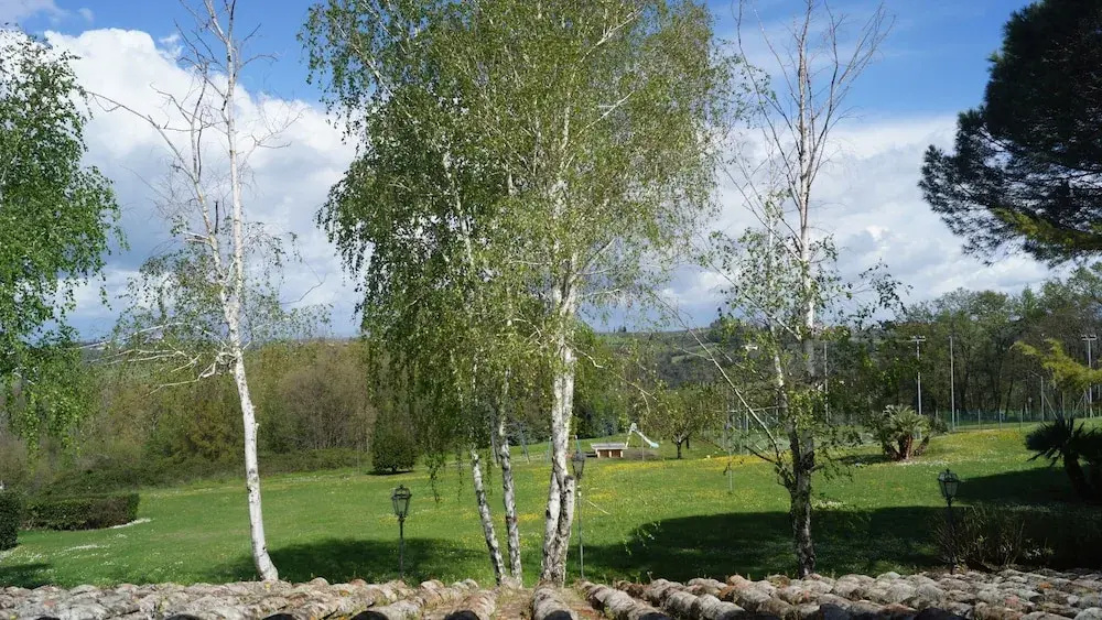 Hotel photo 45