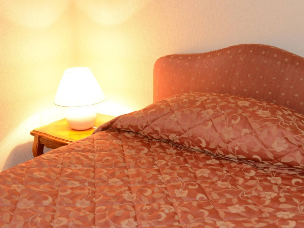 Afficher la photo 7 — Best Western Flers Centre Gare