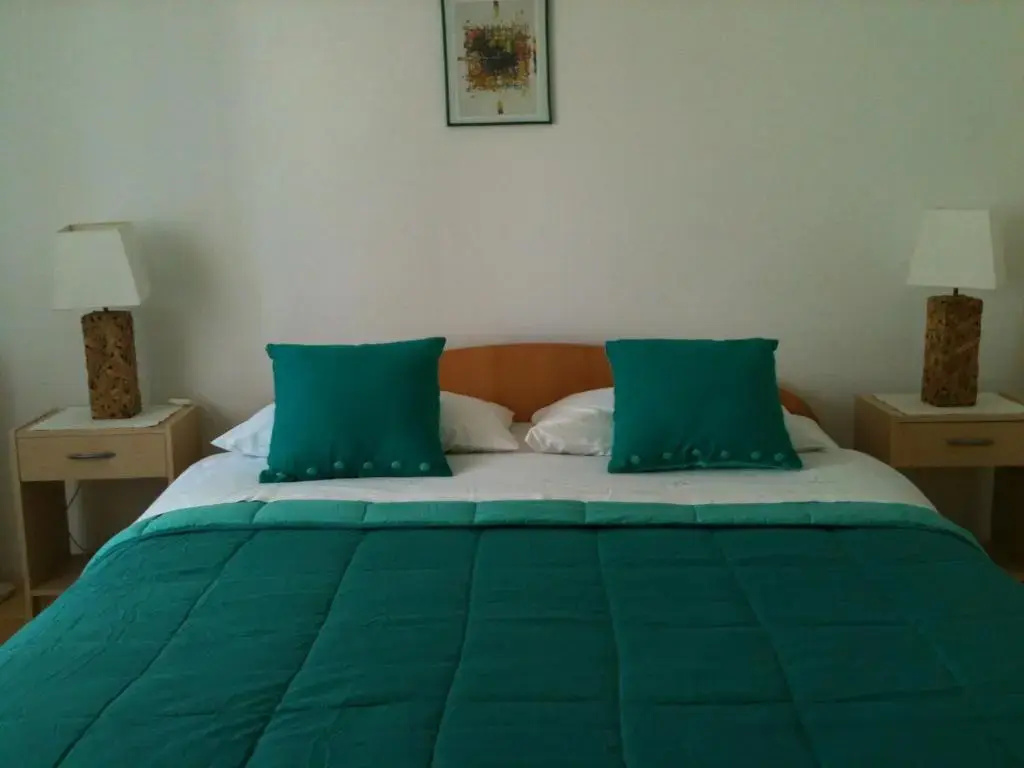 Standard Double room with city view (full double bed)