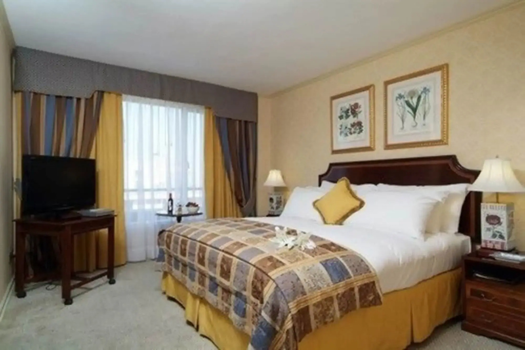 Park Plaza Santiago - Général