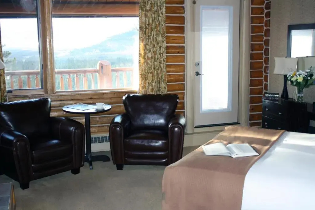 Standard Double room with mountain view full double bed