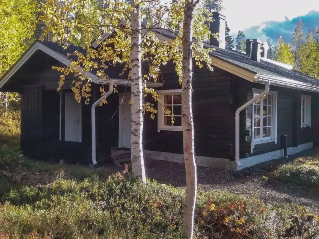 Lomaylläs f79 /palovaarankaarre 18b