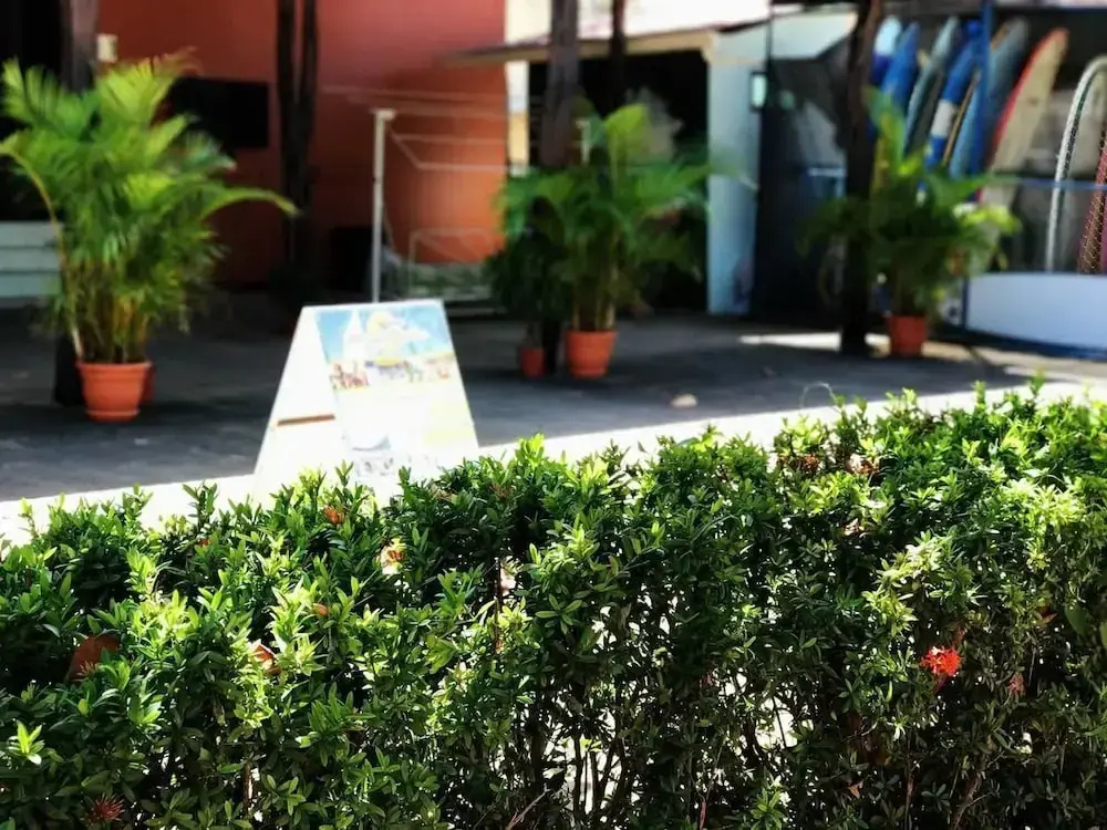 Hotel photo 15