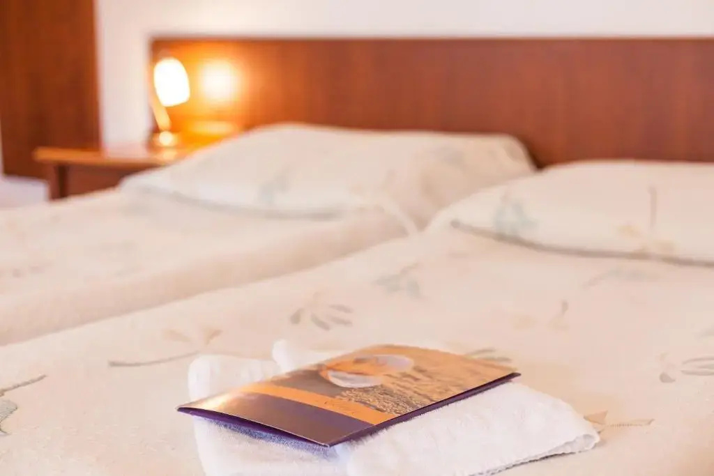 Standard Double room (twin beds)