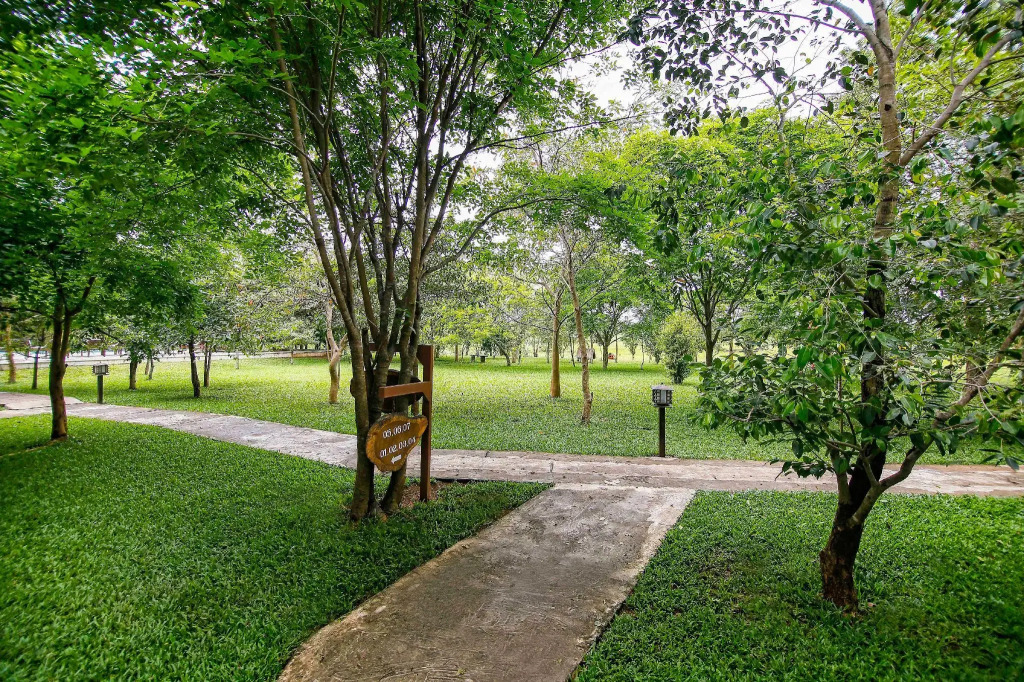 Elephas Resort - фото 13