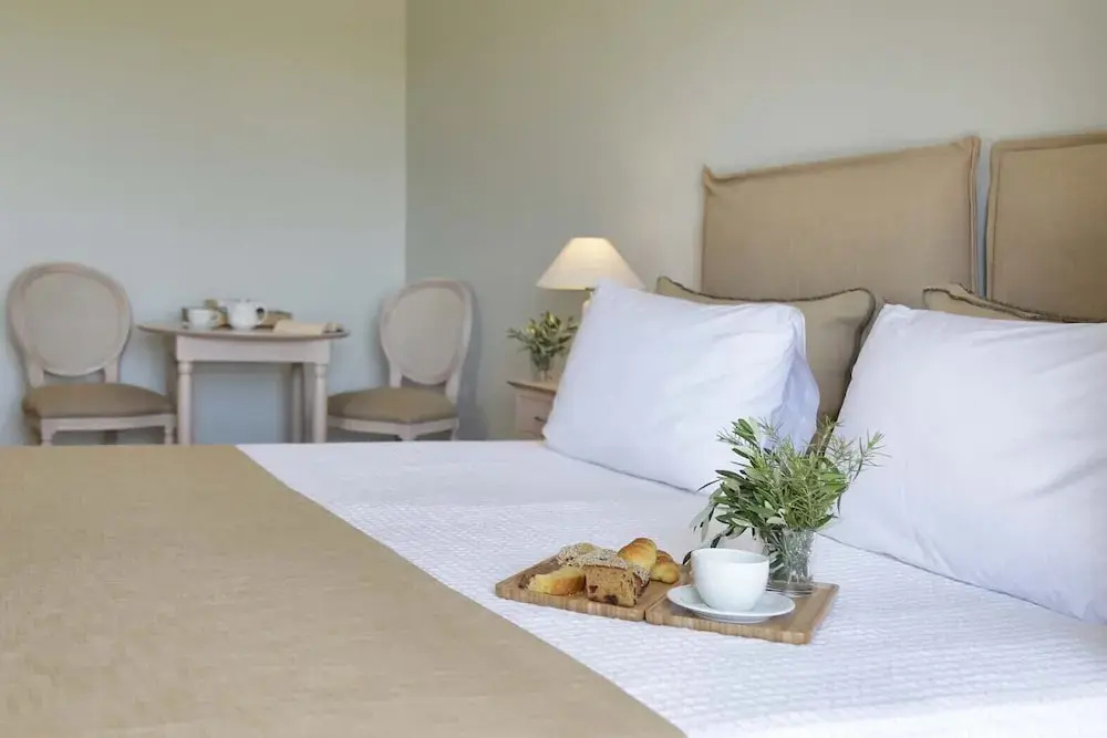 Standard Double room with balcony and with garden view (full double bed)