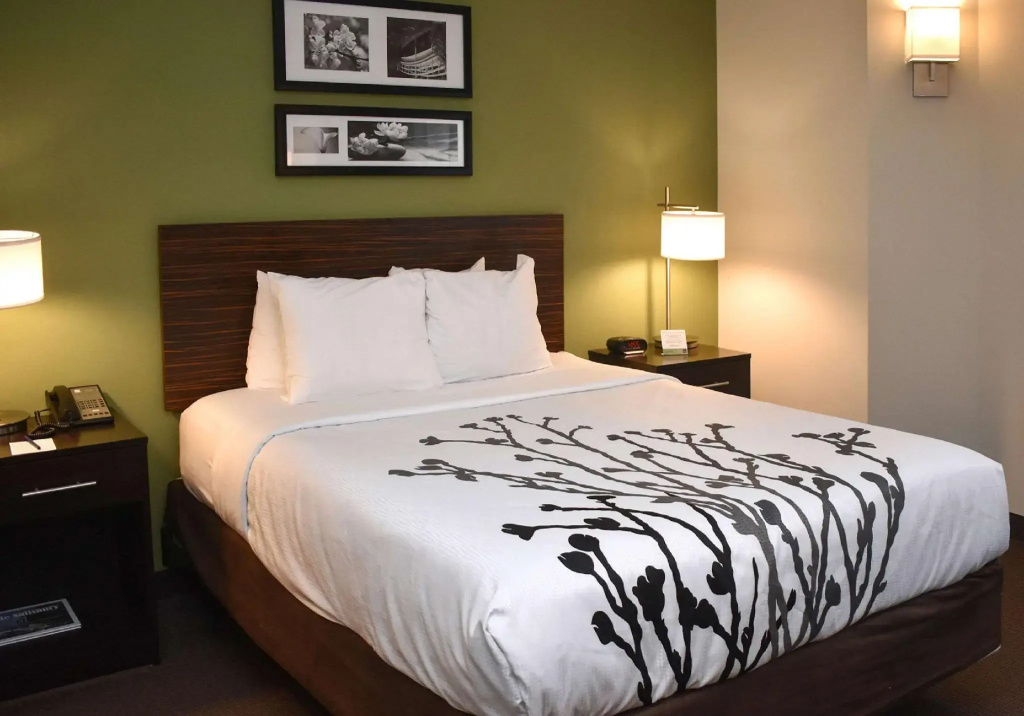 Standard Double room (full double bed)