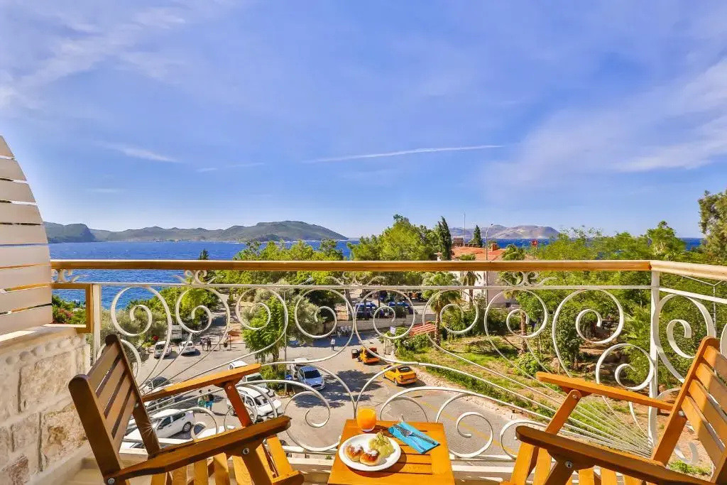Deluxe Double room with balcony and with sea view (full double bed)