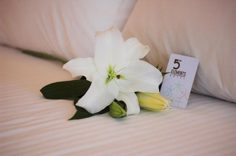 The 5 Elements Hotel