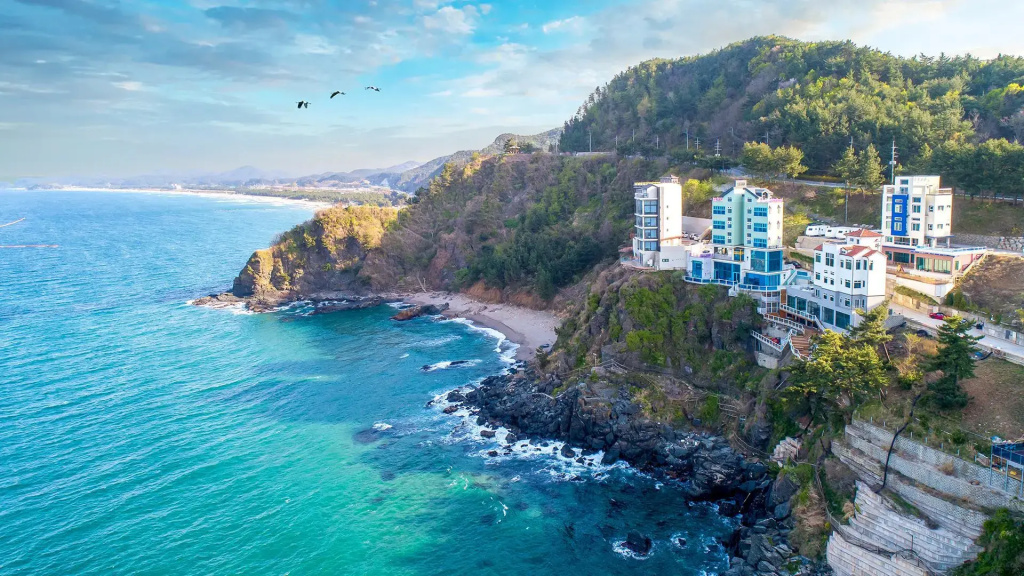 Beach & Waterfront