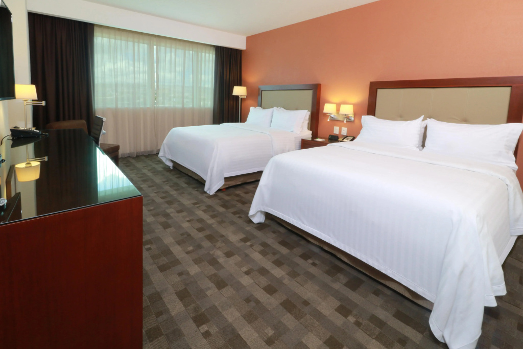 Holiday Inn Leon Plaza Mayor by IHG - Général