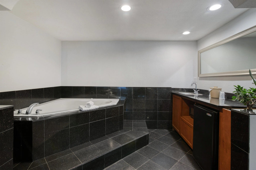 Double Suite (full double bed)