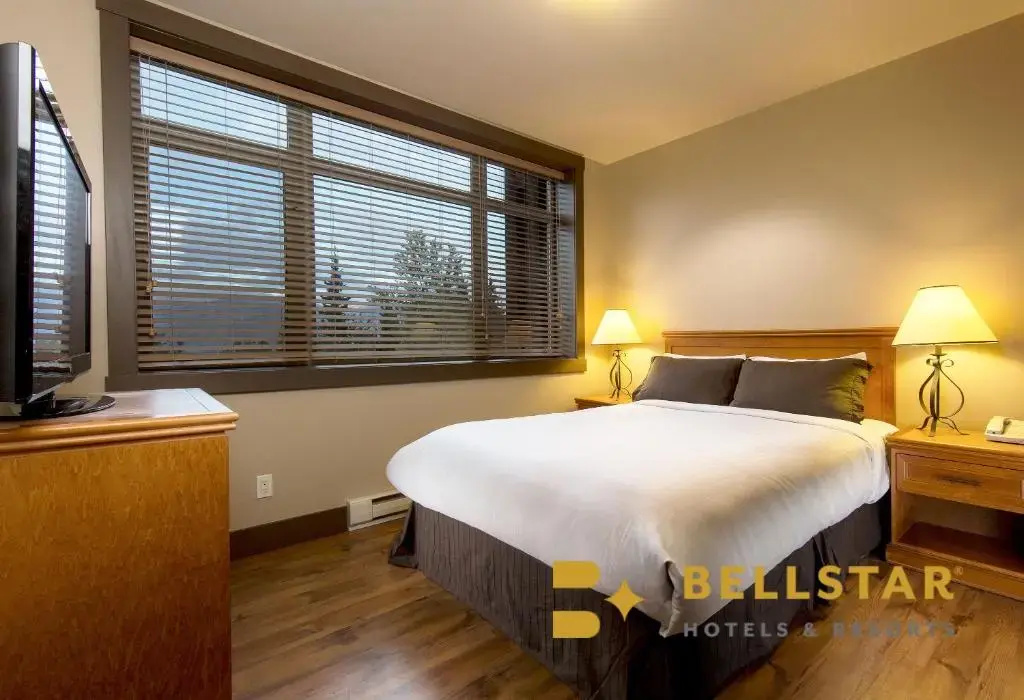 1 Bedroom Suite