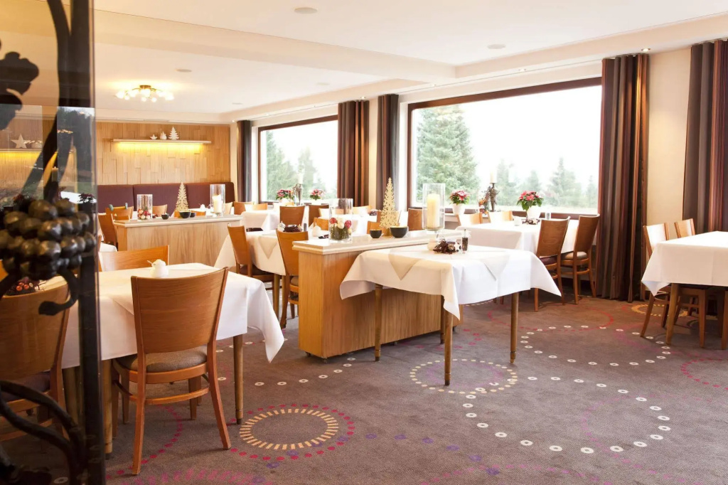 Wald Hotel Willingen - Général