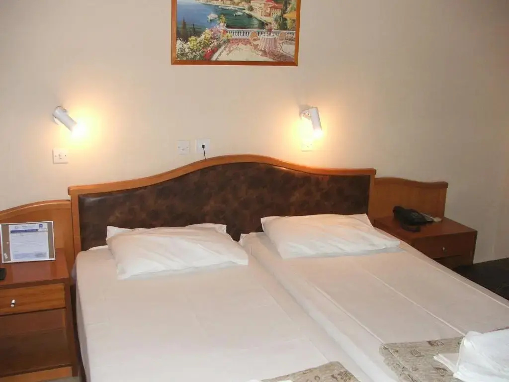 Standard Double room (twin beds)