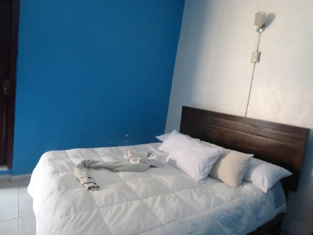 The Grasshopper Hostal Plaza de Armas
