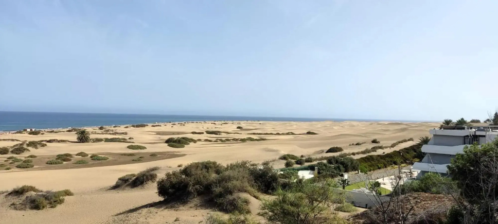 DALIUS HOME - Apartment with pool near the dunes of Maspalomas