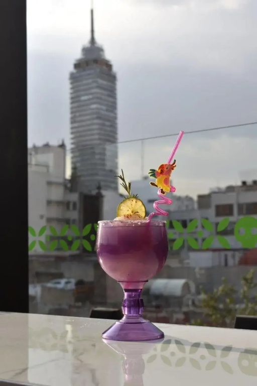 Barrio Downtown Mexico City Hostel