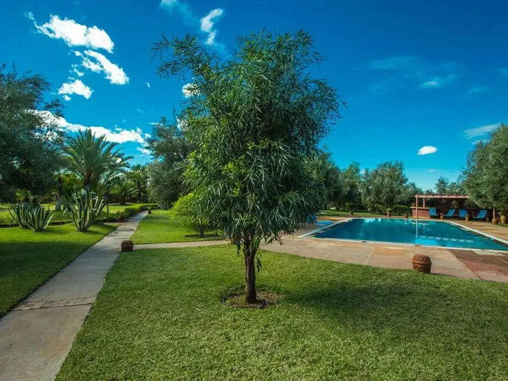Villa les Oliviers 2 Bedrooms - A Setting of Tranquility - фото 36