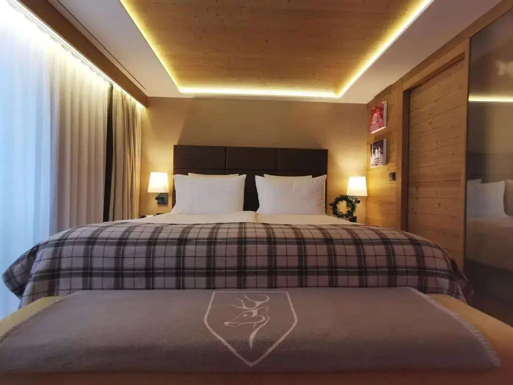 Deluxe Double room with balcony and with mountain view (full double bed)