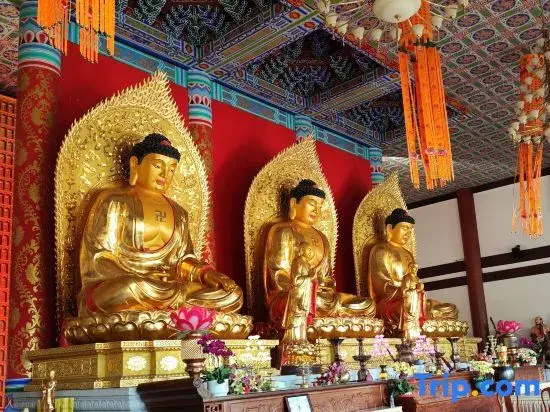 Thank Inn Premium (Jiangmen Enping Jinsha Square Branch)