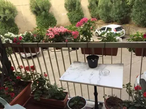 Balcony & Terrace
