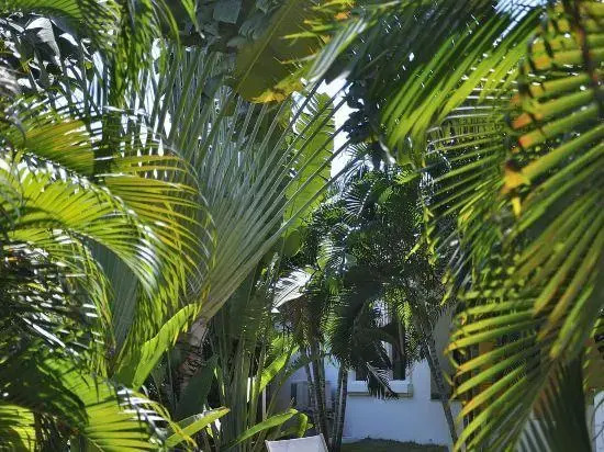 Deluxe Double room with balcony and with view full double bed