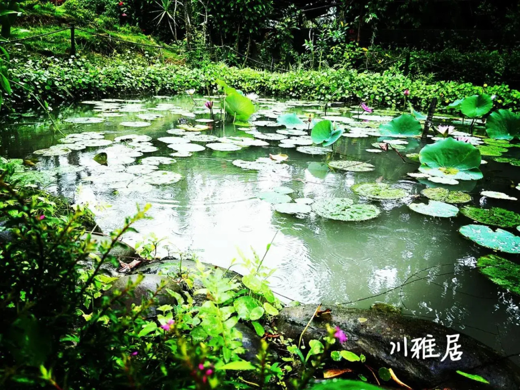 Chuan Ya Ju Homestay