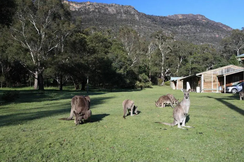 Halls Gap Log Cabins - Chambres