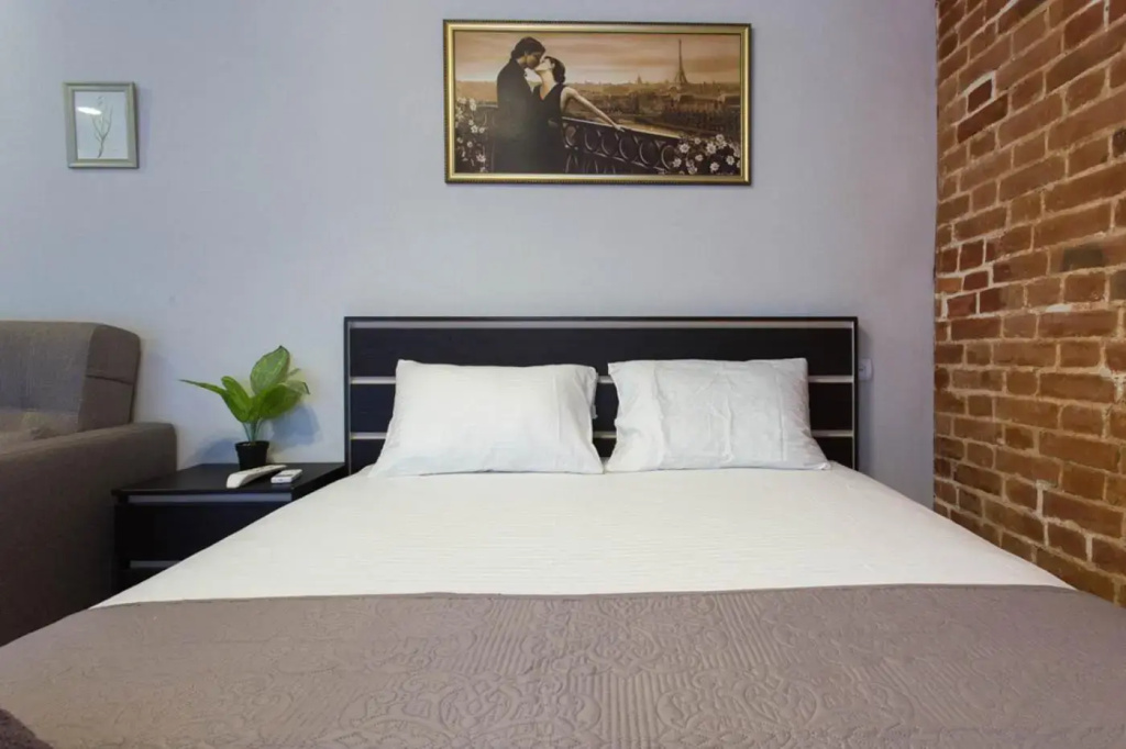 Cozy studio in the city center - Mayakovskogo str. 5-1