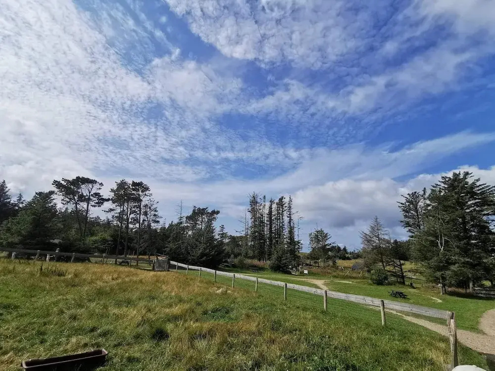 4 Star Holiday Home in Hjorring