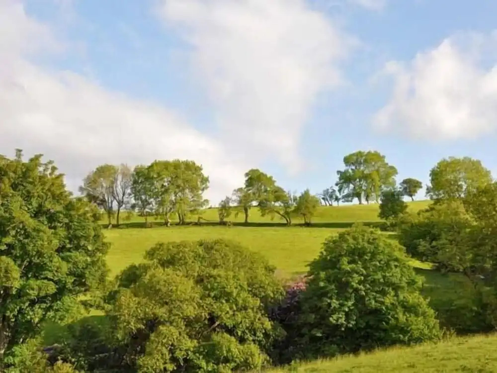 Hendre Aled Cottage 1
