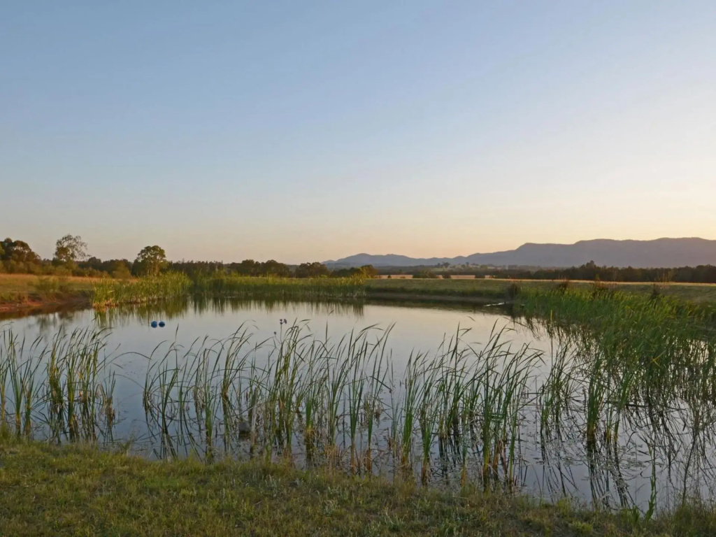 Silver Springs 6br Luxury Homestead with Wifi, Pool. Fireplace, Views, Olives and Space