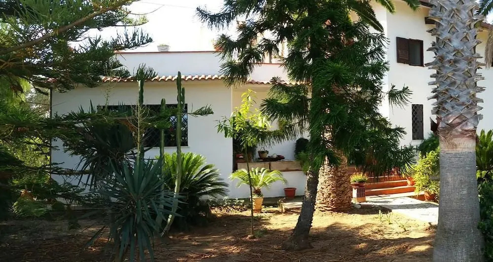 Image 7