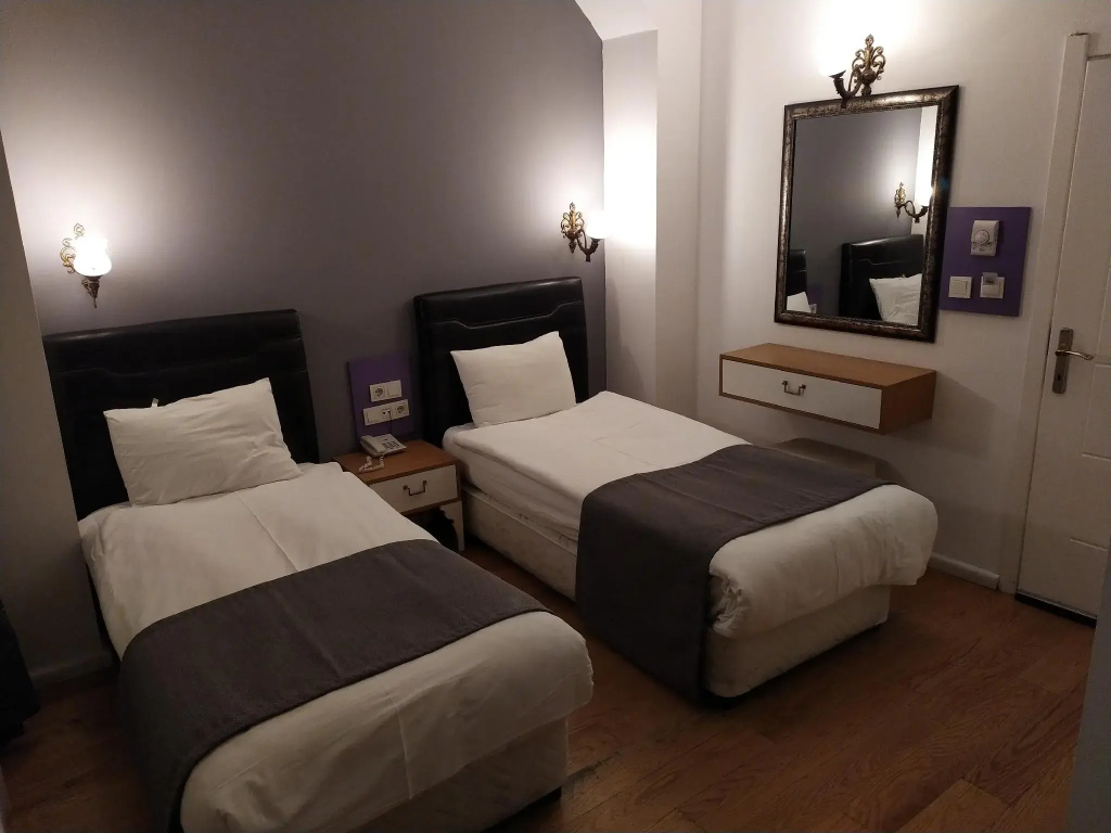Economy Double room (twin beds)