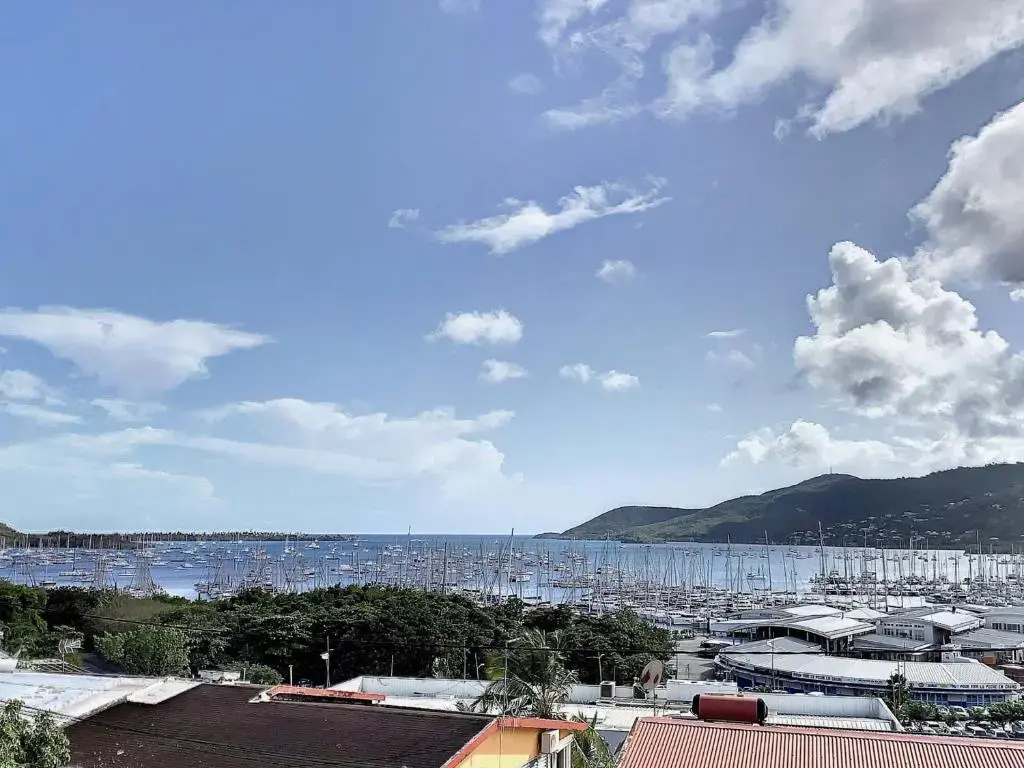 Appartement Le Marin, 3 pièces, 4 personnes - FR-1-668-1