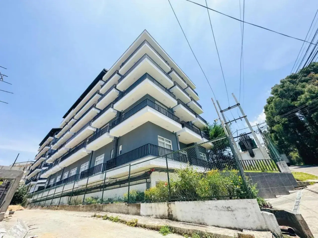 The Green Luxury Apartment
