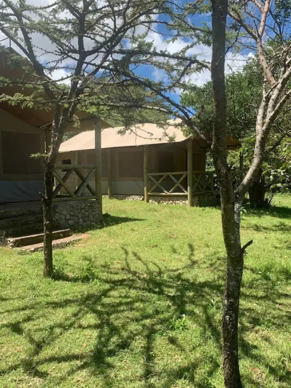Eco mara forest camp
