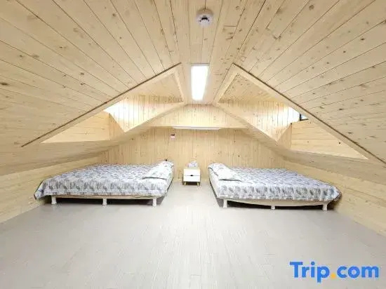 Standard Double Duplex room (full double bed)