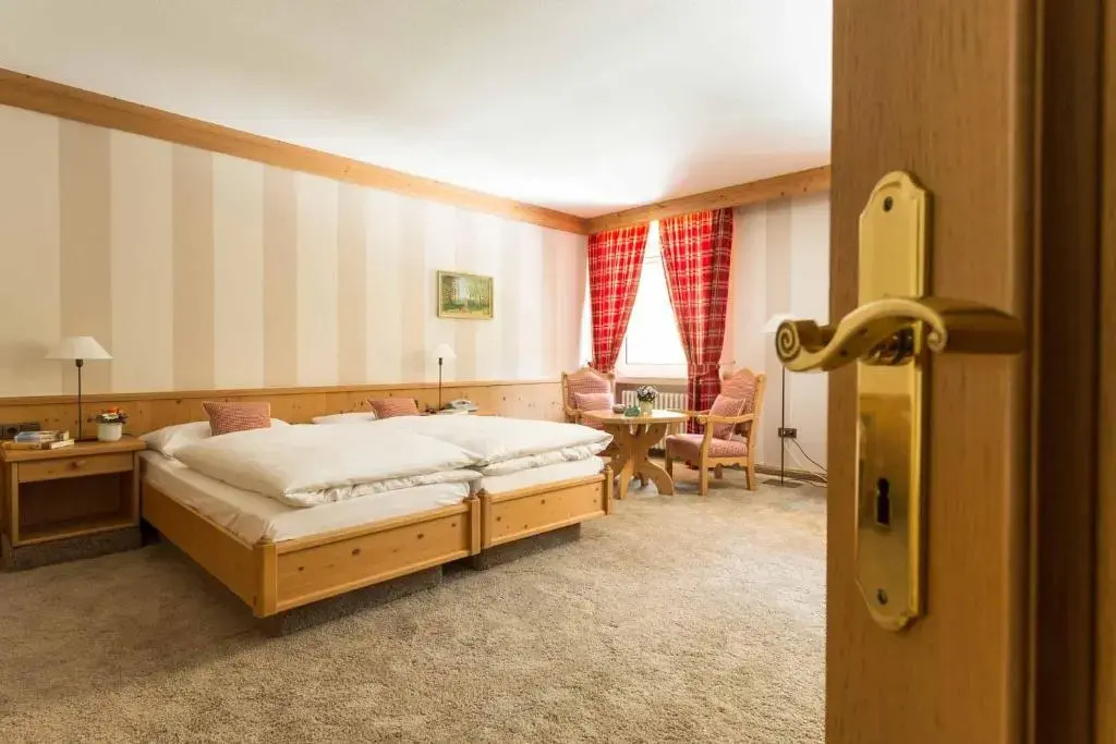 Standard Double room (full double bed)