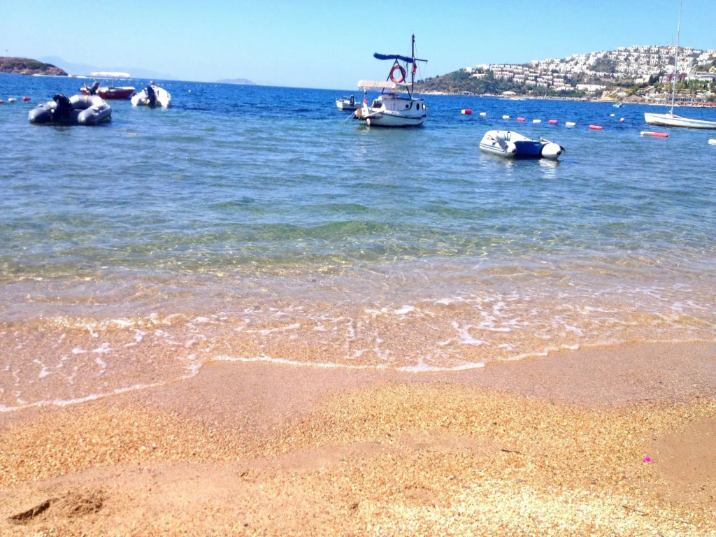 Beach & Waterfront