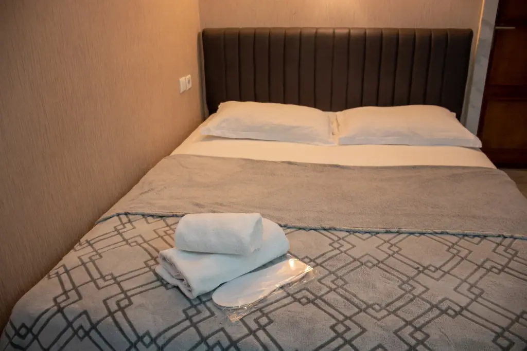 Standard Double room with park view (full double bed)