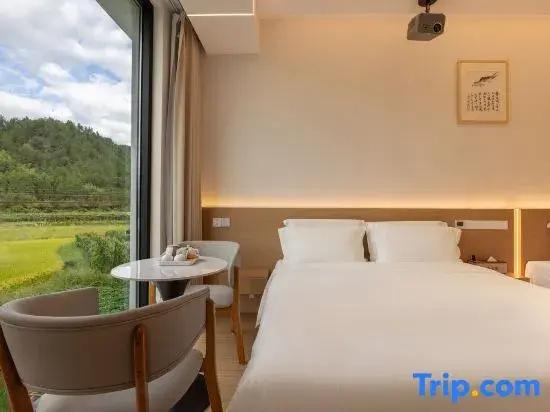 Deluxe Double room (twin beds)