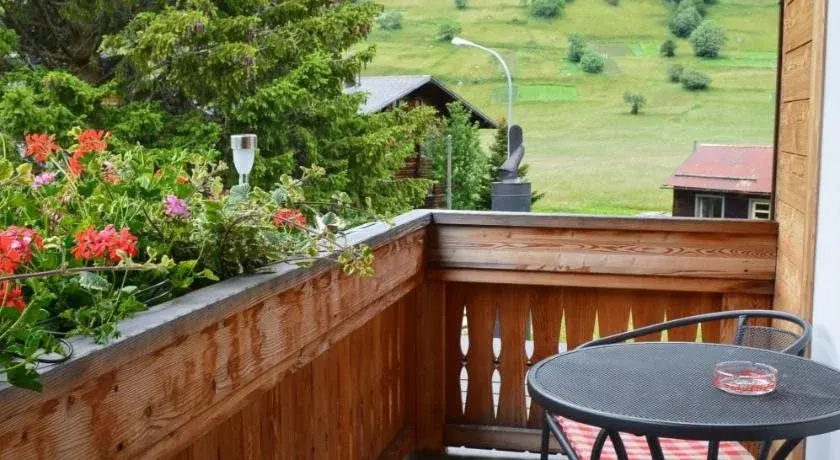 Balcony & Terrace