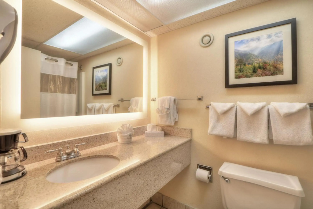 Edgewater Hotel - Gatlinburg - Général